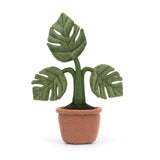 AMUSEABLE MONSTERA PLANT