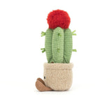 AMUSEABLE MOON CACTUS