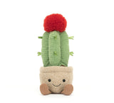 AMUSEABLE MOON CACTUS