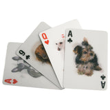 3D Playing Cards (Kikkerland)