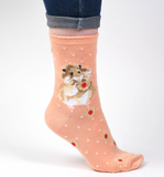 'Diet Starts Tomorrow' Hamster Socks