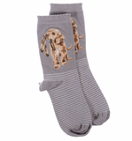 'Hopeful' Dog Socks (Grey)
