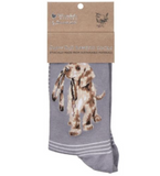 'Hopeful' Dog Socks (Grey)