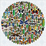 Christopher Marley - Exquisite Creatures II (1000 pcs)