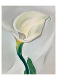 Georgia O'Keeffe Boxed Notecards