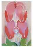 Georgia O'Keeffe Boxed Notecards