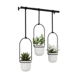 Triflora 3 Hanging Planters & Rod
