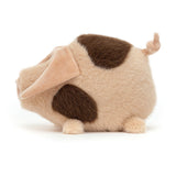 Higgledy Piggeledy Old Spot
