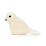 Birdling Dove