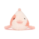Fancy Carp (Limit 1 per customer)