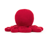 CRANBERRY OCTOPUS LITTLE