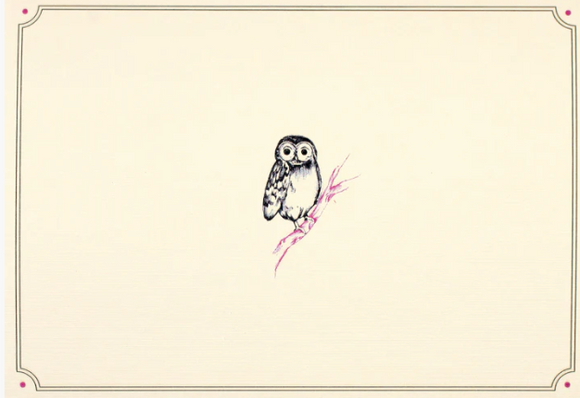 Owl Portrait Note Cards (Boxed)