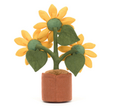 Amuseables Sunflower (Limit 1 per customer)