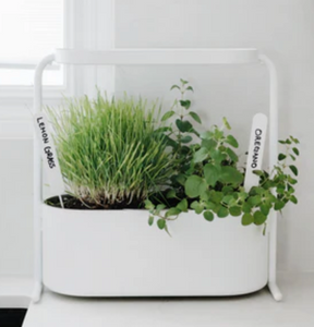 Giardino Planter (Umbra)