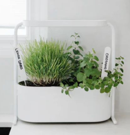Giardino Planter (Umbra)