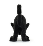 Spookipaws Cat (Limit 1 per Customer)