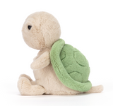 Thimble Turtle