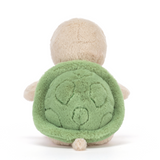 Thimble Turtle
