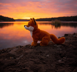 Sweet Clever Fox