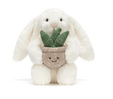 Cream Bunny with Plant