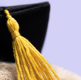 Bashful Bunny Graduation Outfit