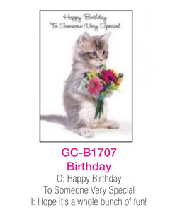 Someone special cat, general