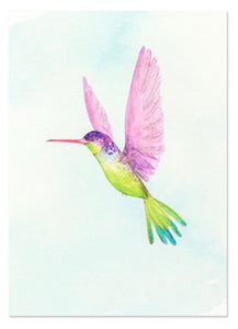 Humming Bird, BD