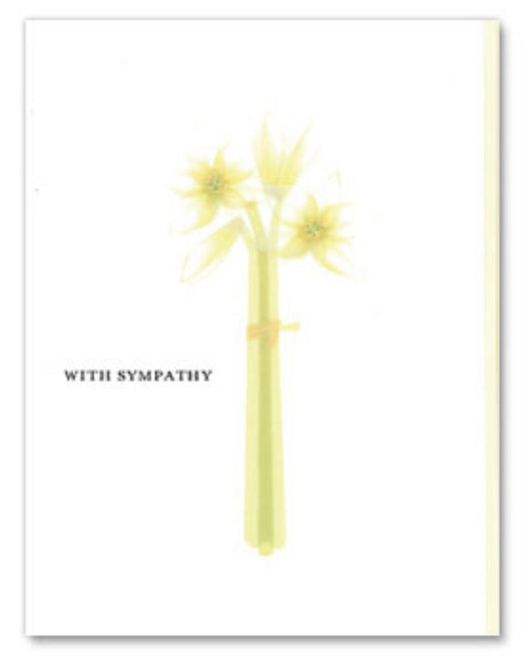 Sympathy lilies, Papyrus