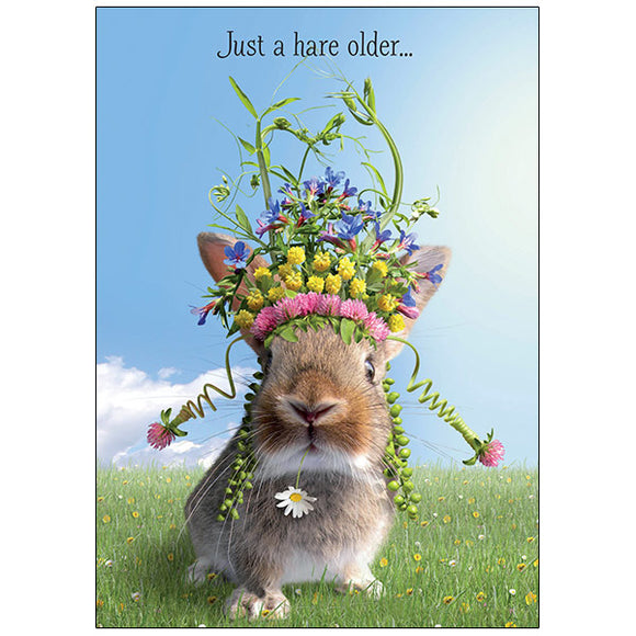A hare older (humour), BD