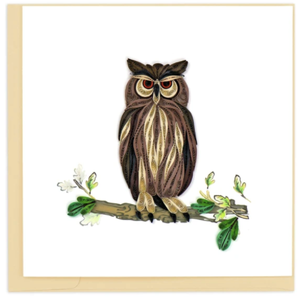 Great Horned Owl, BL