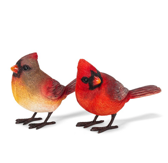 Standing Cardinals