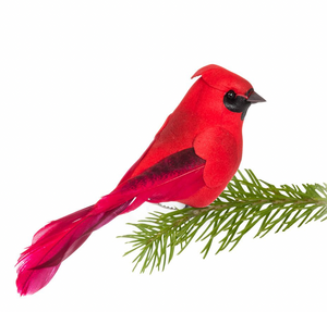 Red Cardinal Bird Clip